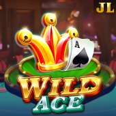 Wild Ace casino plus ceo slot